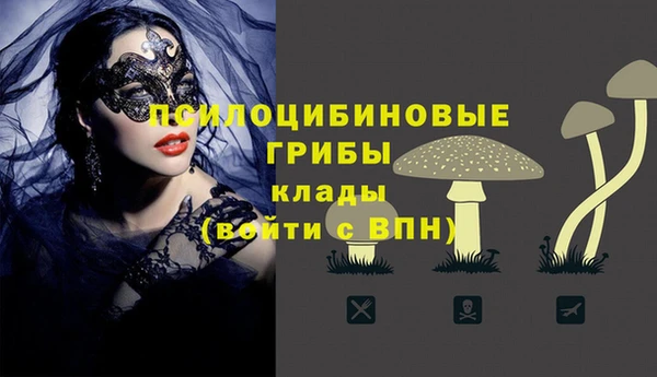 дурь Новозыбков
