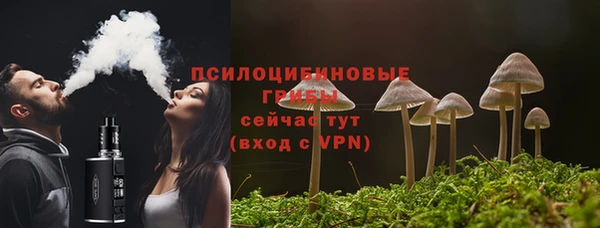 МДПВ Новодвинск