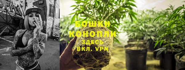 МДПВ Новодвинск