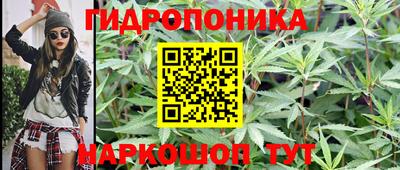 шишки Гусев