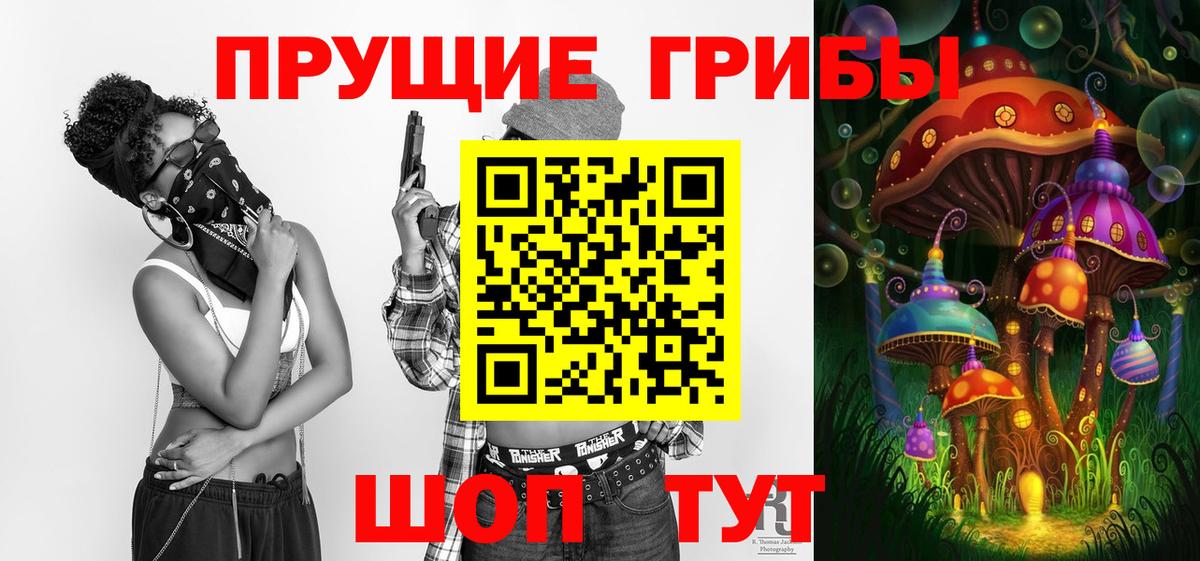 Галлюциногенные грибы Cubensis  Галлюциногенные грибы Psilocybe  Клинцы 