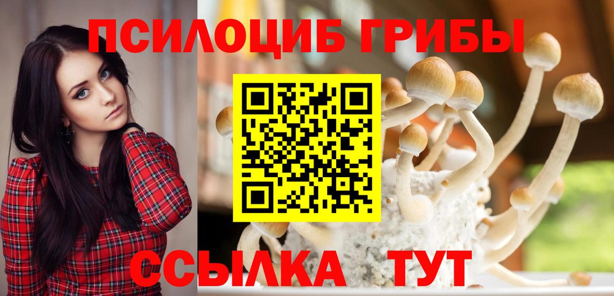 Клинцы  Псилоцибиновые грибы мицелий  Вход с VPN  Галлюциногенные грибы Cubensis 
