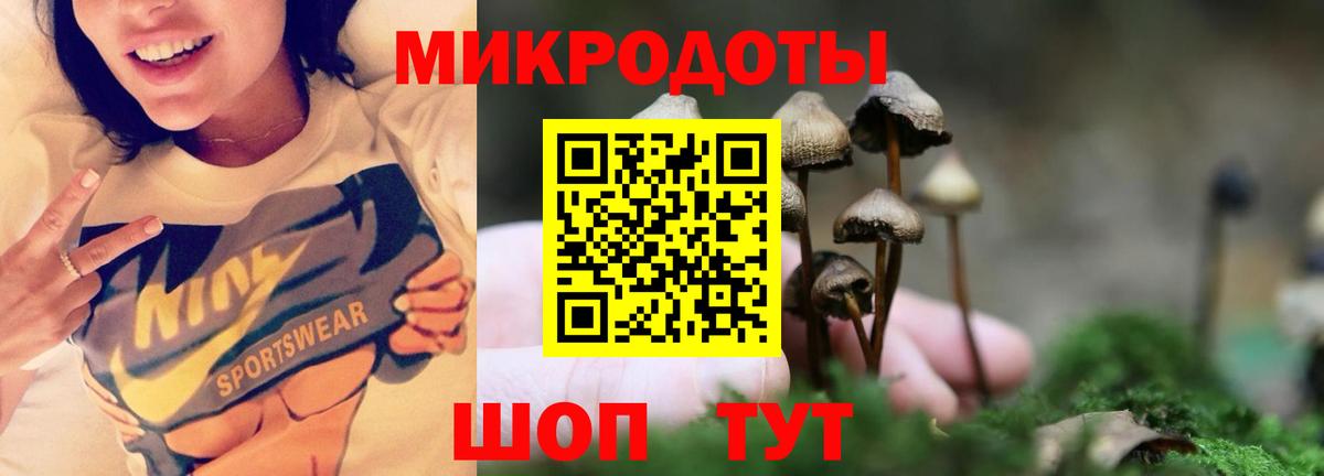 Галлюциногенные грибы GOLDEN TEACHER Клинцы