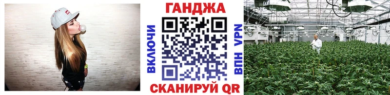 закладки  Клинцы  Шишки марихуана гибрид 